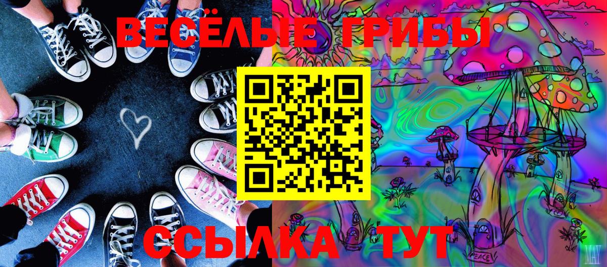 Ижевск  Псилоцибиновые грибы Psilocybe  Вход с VPN 